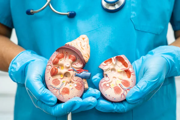 Onconephrology